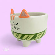 MACETA PATITAS GATO BUFANDA VERDE
