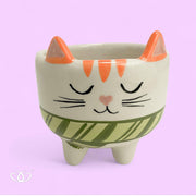 MACETA PATITAS GATO BUFANDA VERDE