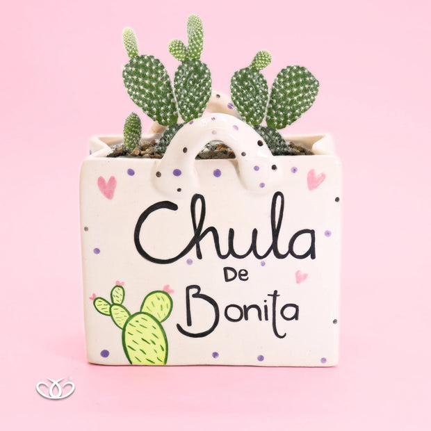 MACETA BOLSA CHULA DE BONITA